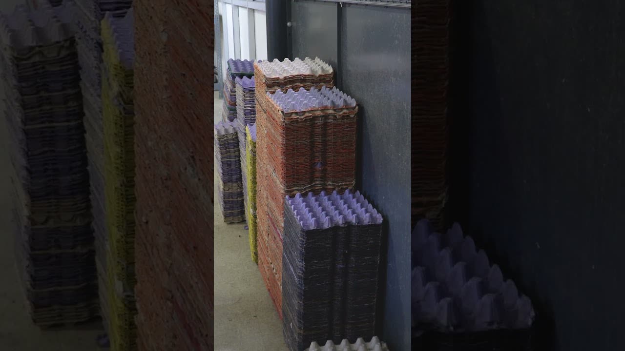 Chris King — Egg Cartons Reel thumbnail